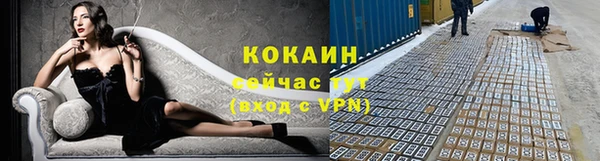 крисы Дмитровск