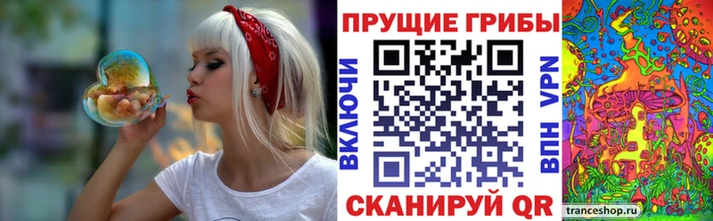 Галлюциногенные грибы мухоморы Мытищи